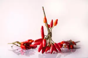 Chilli A Zdraví