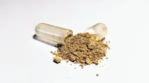 Ashwagandha Brainmax