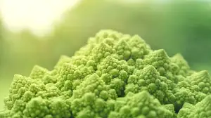 Vegan