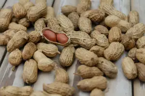 Nejlepší Protein